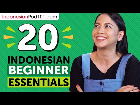 20 Beginner Indonesian Videos You Must Watch | Learn Indonesian