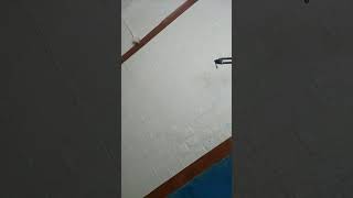 Download lagu tak ternilai di matamu mp3