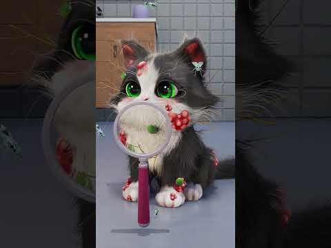 🙅🏻‍♀️Don't judge a CAT by its appearance❌ LOVE ANIMALS#cat #パズにゃん3d #kittenmatch3d#猫#shorts #fyp