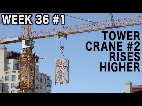 Tower crane #2 rises higher (Week 36 construction clips set #1)