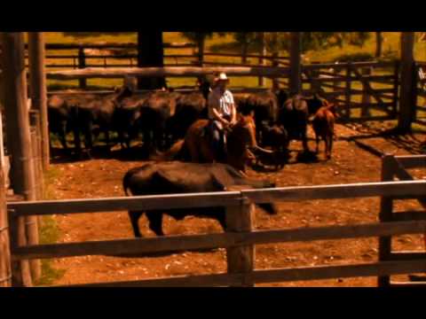 Jimmy the Cowboy by Goodrich - No Chroma Key