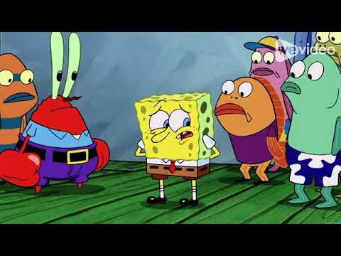 An Animal's Life part 37 - Happy Times Again