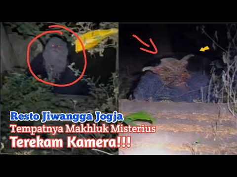 RESTO JIWANGGA YOGYAKARTA!! Banyak Makhluk Misterius Terekam Kamera Tim Trobos Mitos Di Tempat Ini!!