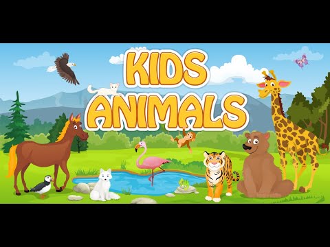 Kids Learn about  Animals Video