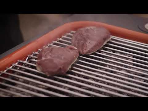 Everdure by Heston Blumenthal FUSION Charcoal Electric Ignition Barbeque