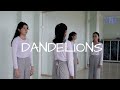 Dance Cover Dandelions