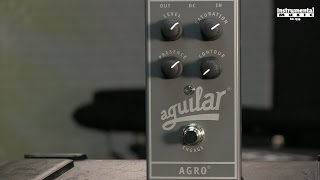 Video thumbnail for Aguilar Agro Bass Demo by The Bass Channel