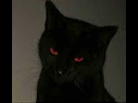 Linger longer- with missile guidance in the background