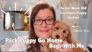 7 Week Old Cockapoo Puppies Update | Packing Puppy Go Home Bags, Learning Stairs, Outdoor Fun! 