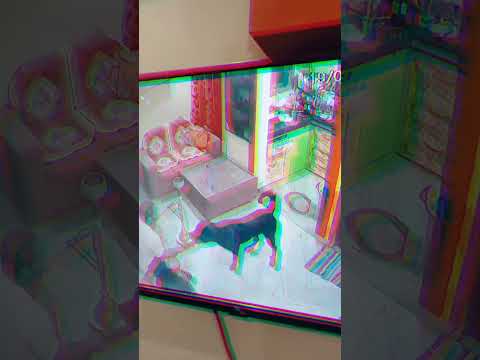 rottweiler suddenly attack #rottweiler #viral #trending #dog