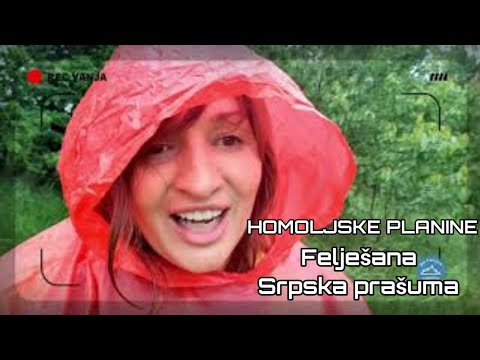 Homoljske planine- Felješana, srpska prašuma - Sa Vanjom u planine  15 Balkan Trip