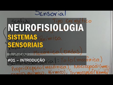 Sensory Systems - #01 Introduction - Neurophysiology