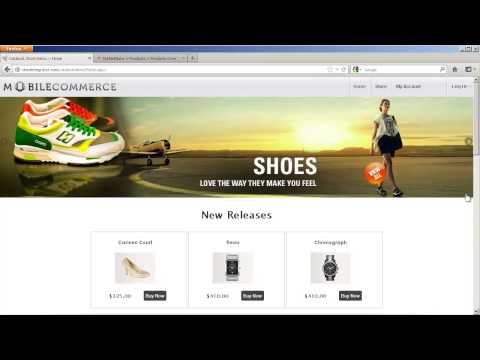 Give your DNN 7 & Catalook E-Commerce Shop a Responsive Design