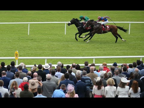 Harzand - Dubai Duty Free Irish Derby (Group 1) - 2016
