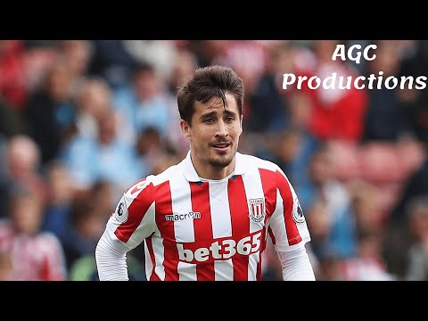 Bojan Krkić's 16 goals for Stoke City