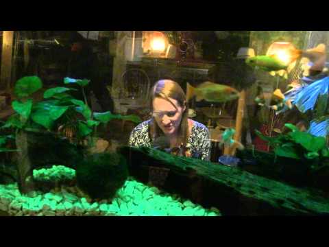 Maybe You'll Go Out Tonight - Genevieve Carver