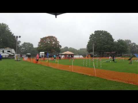 Enda Novice Fast 1st place