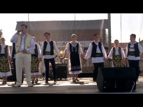 ZILELE COMUNEI VLADIMIRESCU - DACIAN SOCATI - BUSUIOC DE PRIN BANAT