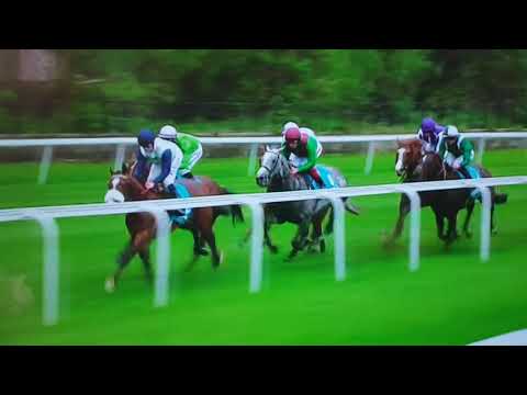 Chester vase 2019-sir dragonet-derby contender