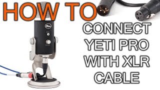 How to Connect XLR to Blue Yeti Pro Microphone