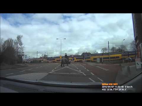 Een gewone dag in Castricum, Bakkum, met het paard volgens de regels het spoor over....