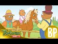 Os Ursos Berenstain O Esquilo Bebê A Estrela Dos Desejos Ep 11