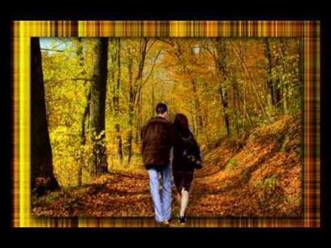 Bofi Radics György - Szeptember volt