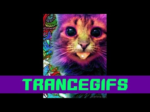 Summer Dreams || Kleysky vs Dancing Devil ◄