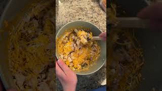 Buffalo Chicken Dip Appetizer