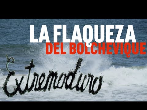 Extremoduro en la película La flaqueza del Bolchevique