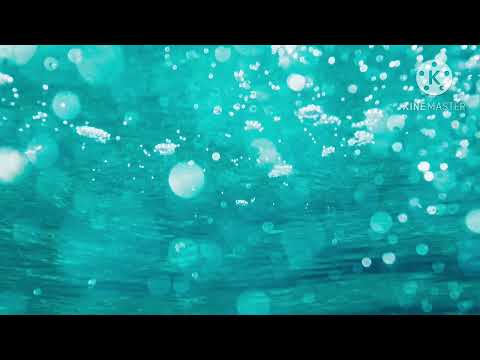 euphoria morning 2 / chris bussey