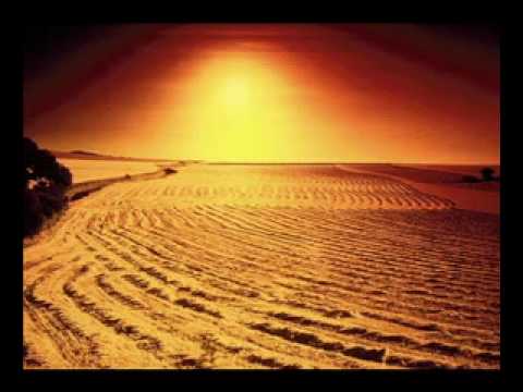 Danezu si Tancu Iubirea mea.