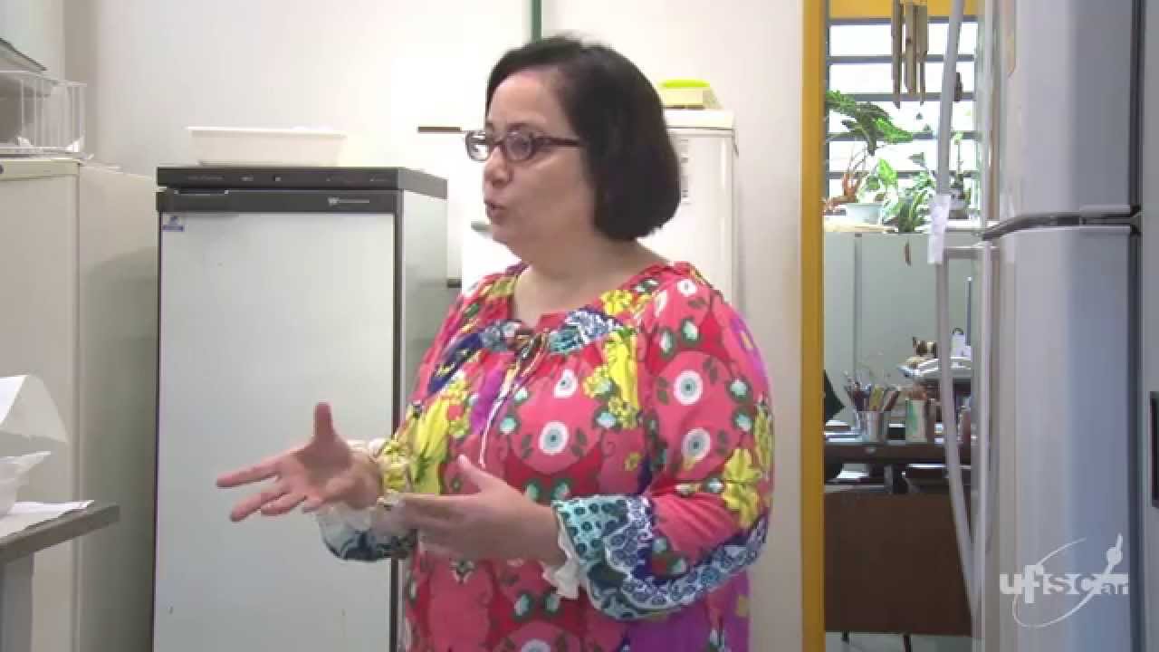 Pesquisa da UFSCar utiliza plâncton para determinar efeitos tóxicos de poluentes