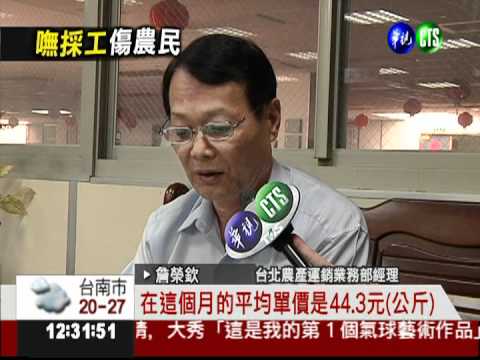 綠月曆又錯了!水梨價漲三分之一