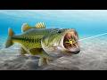 Fishing For 15lb Bass With Tiny Lures