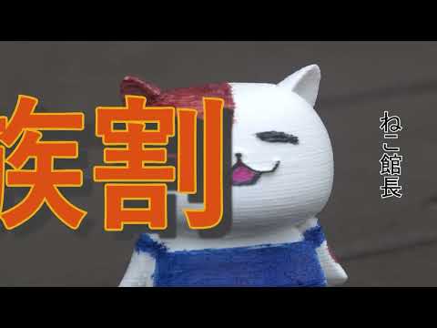 「教えて！ねこ館長」江戸川大学15秒CM