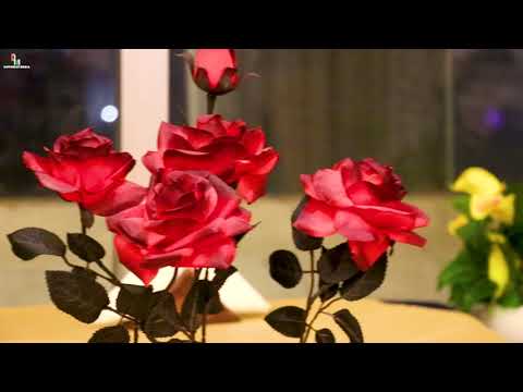 Bangladeshi Birthday trailer 2021, (Tahseen): By Different Media.Dil Mein Ho Tum