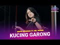 Kucing Garong (Kelakuan Si Kucing Garong) | Sasya Arkhisna Ft. Mr. Jepank | (Official Music Video)