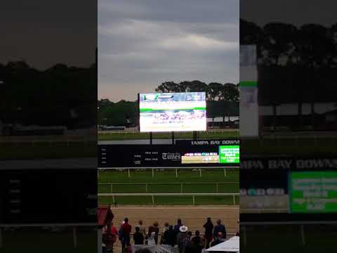 2018 Tampa Bay Derby: Quip