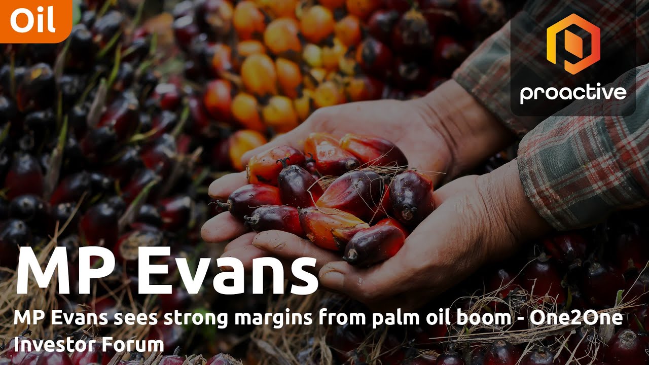 MP Evans sees strong margins from palm oil boom - One2One Investor Forum