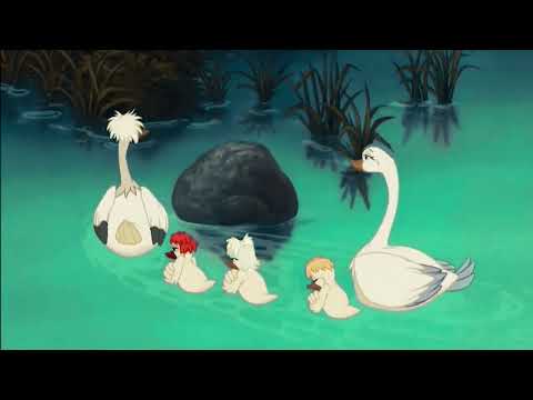 El cisne trompetista