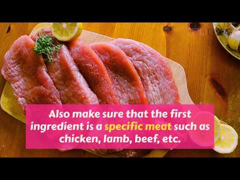 How To Feed a Golden Retriever