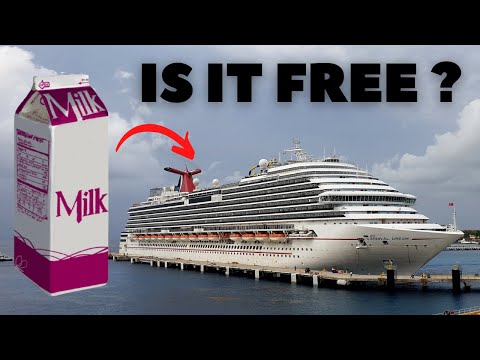 Thumbnail for Can I Get MILK FOR FREE on a Cruise Ship?