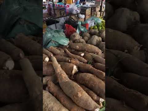 Feijão verde o ano todo em Agrestina-PE