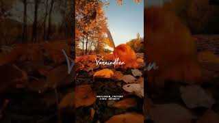 Download lagu En nenjodu rasithen🧡 yuvan song 🧡 full screen HD WhatsApp status mp3 Download lagu En nenjodu rasithen🧡 yuvan song 🧡 full screen HD WhatsApp status mp3