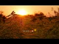 Tere Hawale Kar Diya Song WhatsApp Status