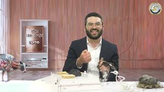 🕊️מסכת חולין בהמחשה חיה! דפים י"ט-כ"ב: המחשת מצוות מליקה - פרק 14🩸| הרב שמעון אופן בהמחשה ויזואלית 📸
