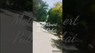 Best Places to visit in  Dubai. Melia Desert Palm Hotel Dubai. Beautiful Resort 
