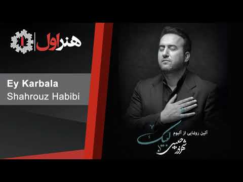 Shahrouze Habibi - Ey Karbala | شهروز حبیبی - ای کربلا