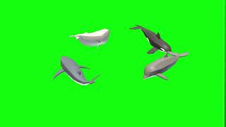 Download lagu Green screen whale #greenscreen #whales mp3